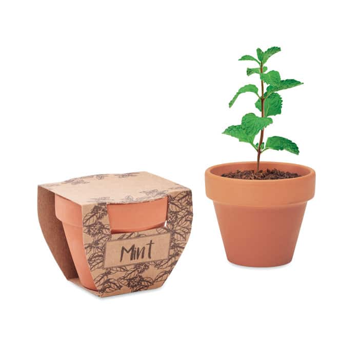 MINT POT – Pot avec graines de menthe