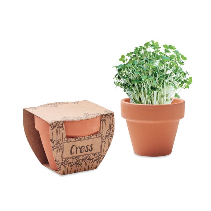 CRESS POT – Pot avec graines de cresson