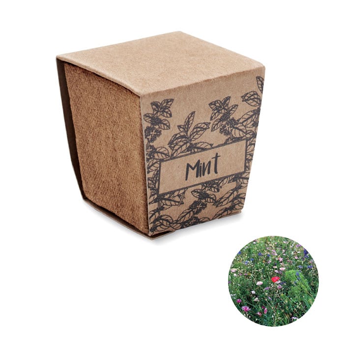 MINT KIT – Kit de graines de menthe