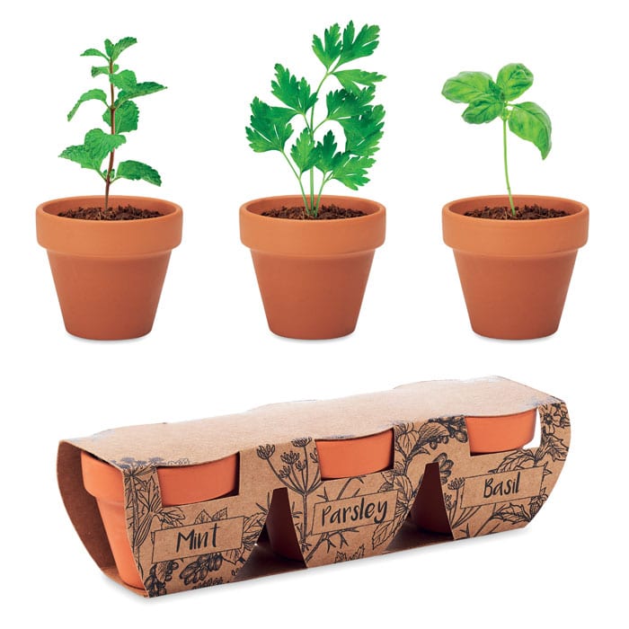 FLOWERPOT – set de 3 pots en terre cuite