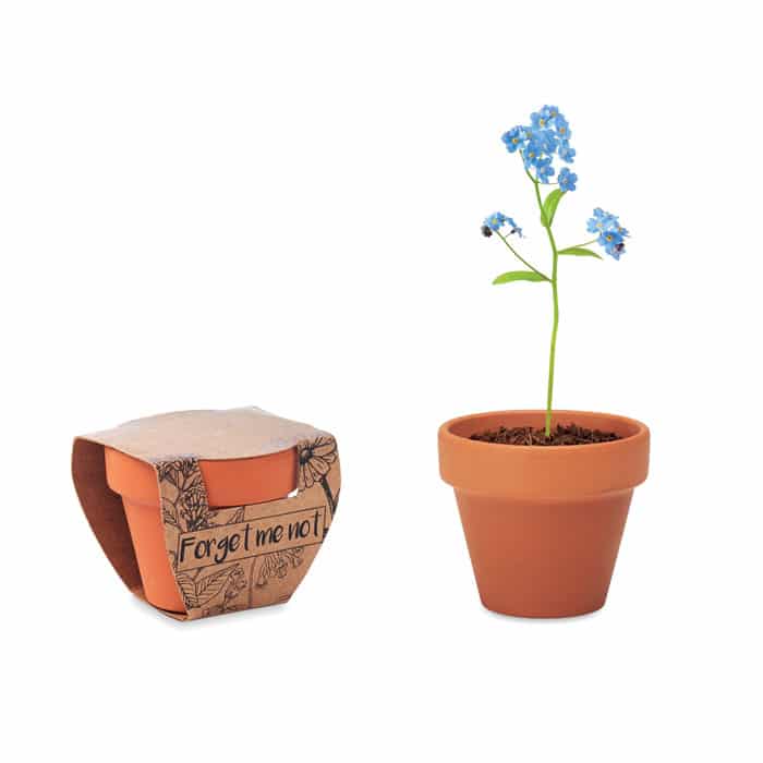FORGET ME NOT – Pot graines de myosotis