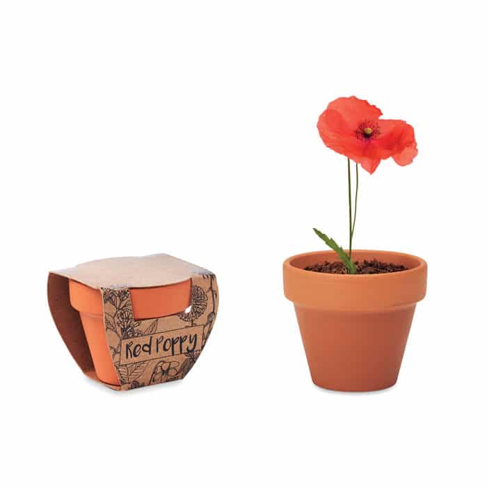 RED POPPY – pot en terre cuite coquelicot