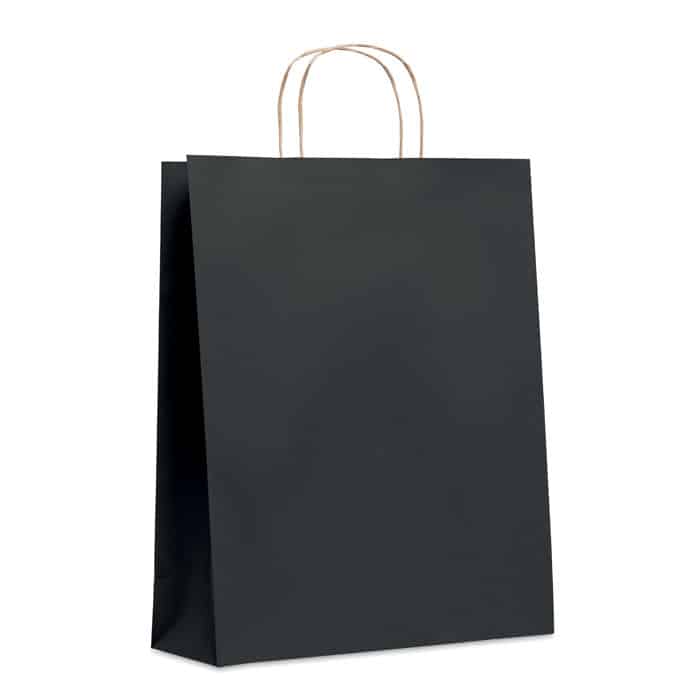 PAPER TONE L – Sac en papier grand format
