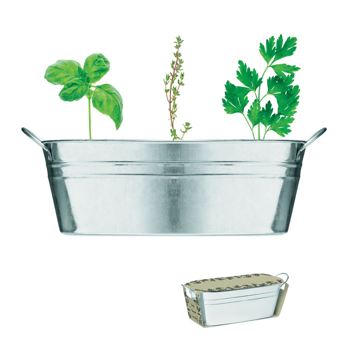 MIX SEEDS – Bac en zinc & herbes aromatique