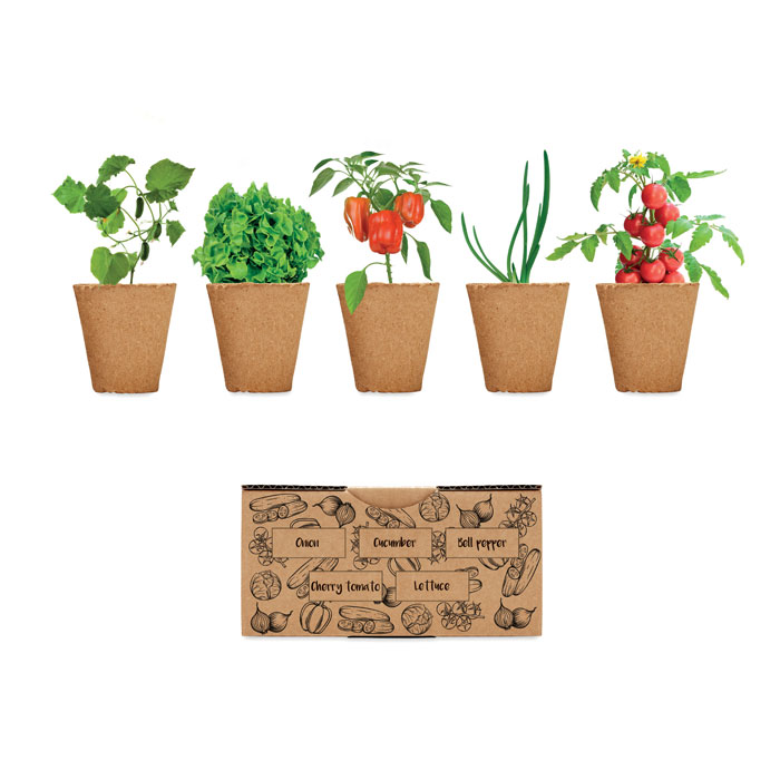 SALAD – Kit de culture de salade