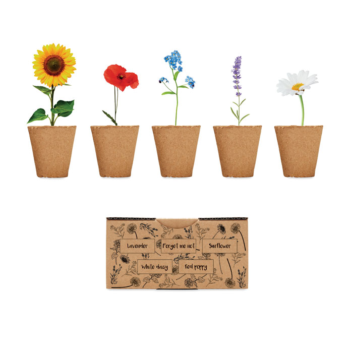 FLOWERS – Kit de culture de fleurs