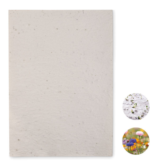ASIDI – Papier A4 graines de fleurs