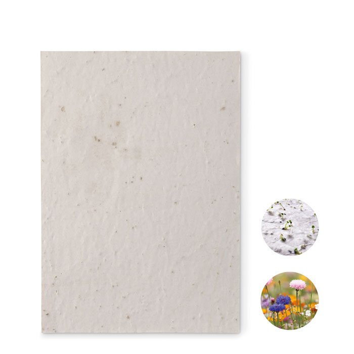 ASIDE – Papier A5 graines de fleurs