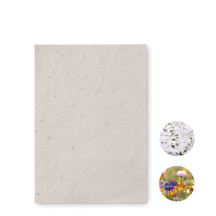 ASIDO – Papier A6 graines de fleurs