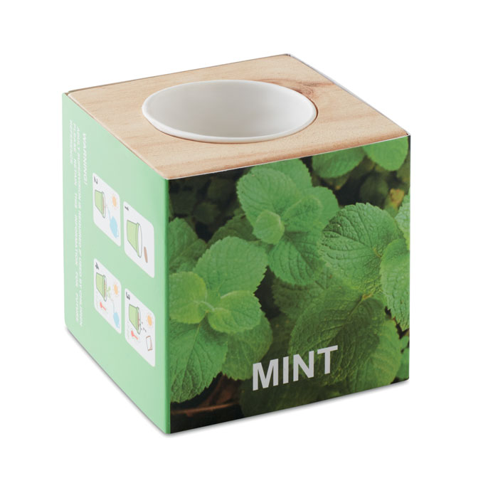 MENTA – Pot en bois avec graine Menthe