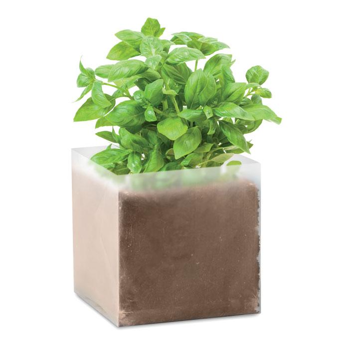 BASIL – Substrat avec graines Basilic.