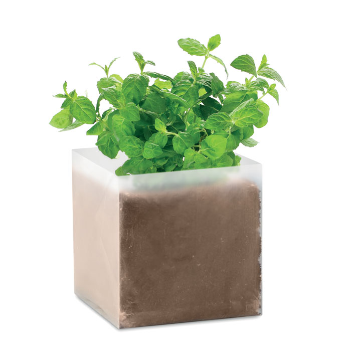 MINT – Substrat avec graines Menthe