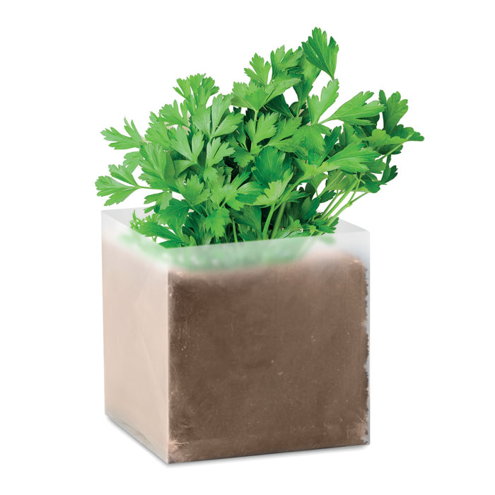 PARSELY – Substrat avec graines Persil