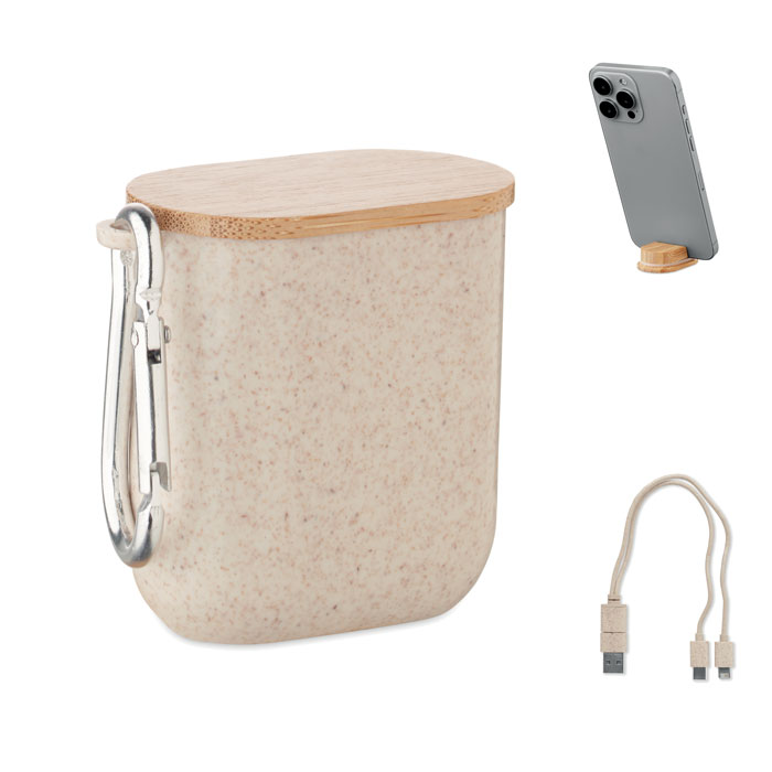CABSTRA – Set de câbles dans un boîtier